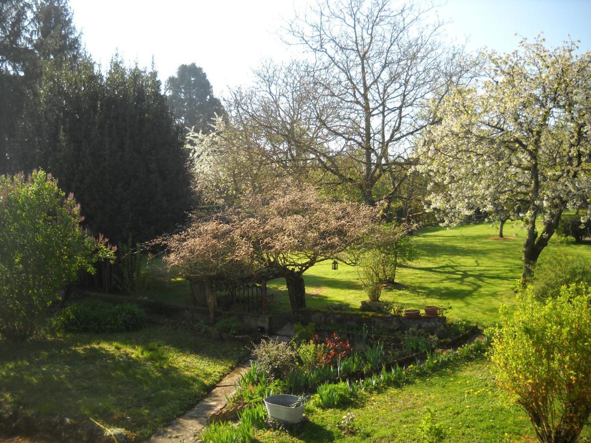 Bed and Breakfast Relais Des Vignottes Chevannes  Exterior foto